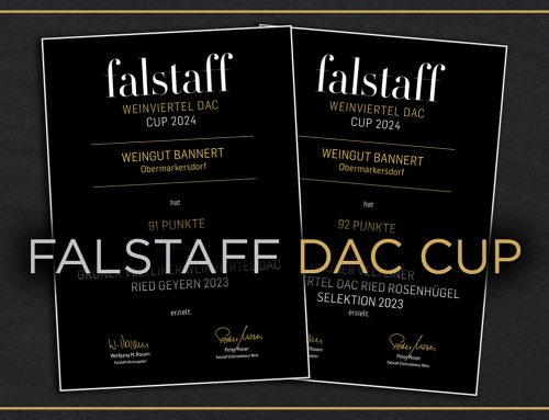 FALSTAFF – DAC CUP 2024
